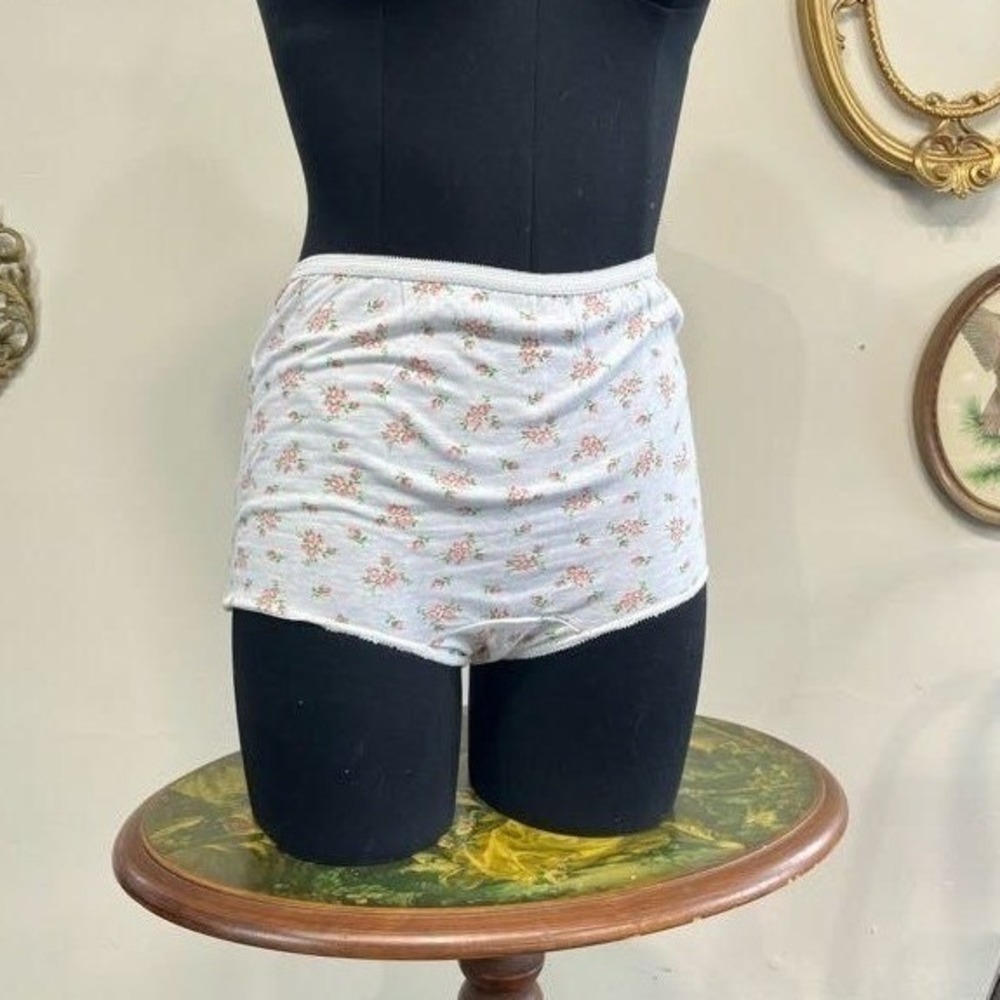 Vintage Eiderlon Floral Panties Sz 6 Hip 36 Cotton Rayon Granny Briefs Pink